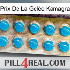 Prix De La Gelée Kamagra new09
